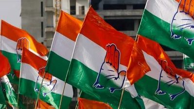  ट्रिब्यूनल ने मोहताब शेख की उम्मीदवारी बहाल की