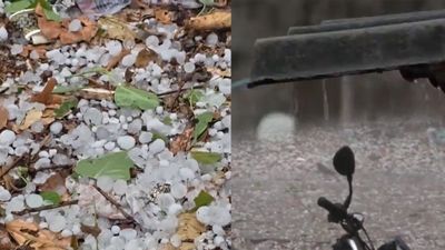 MP Weather: ग्वालियर में तेज बारिश के साथ 10 मिनट तक हुई ओलावृष्टि, IMD ने 45 जिलों के लिए जारी किया अलर्ट