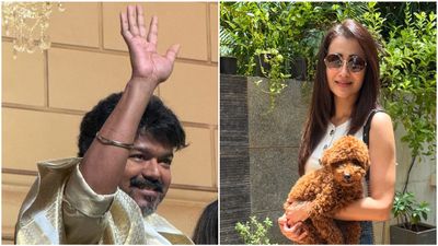 Did Vijay Really Click This Trisha Krishnan's New Pic?