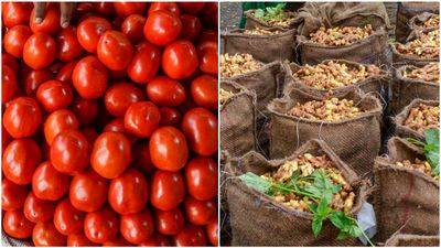 Pakistan's Price For Clash With Afghanistan: Rs 600 For Tomato, Rs 750 For Ginger Per Kg