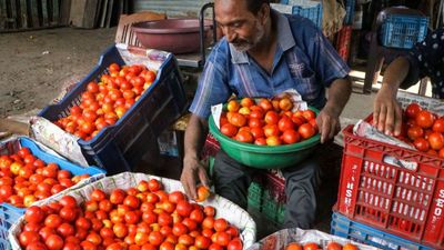 Bengaluru’s Tomato Prices Double Overnight, Households Struggle With Rising Vegetable Costs