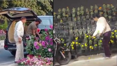Lucknow Flower Pot Theft Raises a Bigger Question: Why Do Indians Treat Public Property as Free Loot?