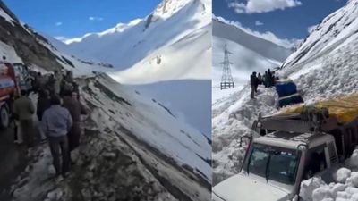 Seven Killed In Zojila Pass Avalanche In Ladakh; Multiple Vehicles Buried, Rescue On
