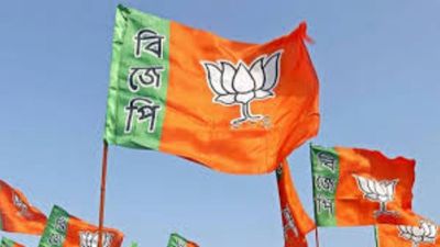 BJP Releases 4th List Of 13 Candidates For West Bengal Polls, Names 287 Nominees So Far