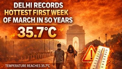 Delhi Weather Report: IMD Data Shows Heat Surge Across North India: Delhi Logs Record March Heat