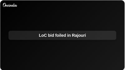 LoC infiltration bid foiled in Rajouri as Indian Army kills one militant