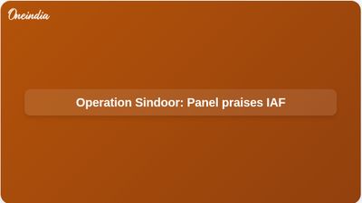 Operation Sindoor: Parliamentary defence panel praises IAF and Indian Army, urges stronger Army capital budget