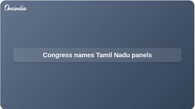 Tamil Nadu Assembly elections: Congress sets up state panels led by K Selvaperunthagai