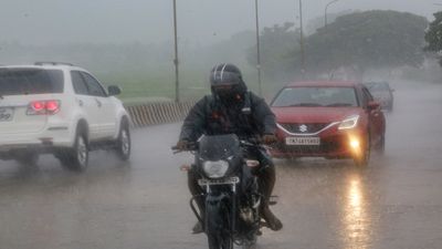 Tamil Nadu Weather: Chennai Braces For Rain; Thunderstorms Across Several Districts
