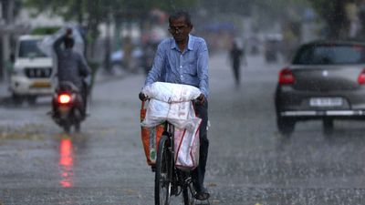 Tamil Nadu Weather: Final Spell of Rain Drenches The State, Hotter Days Ahead