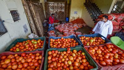 Tamil Nadu: Why Have Tomatoes Become Cheaper Now?