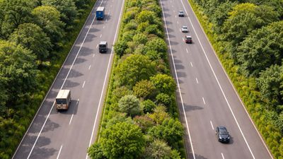 11 States to Get 'Arogya Van' Along National Highways: NHAI to Plant 67,000 Trees Covering in Phase 1