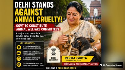 Delhi Stands Against Animal Cruelty! Govt To Constitute Animal Welfare Committees