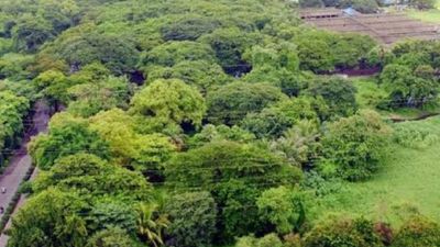 “Saving Forests Without Justice Is Hollow”: Adv Rakesh Kumar Singh Calls for Adivasi Rights in Mumbai