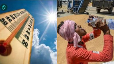 First Heatstroke Death In Karnataka? 20-Year-Old Bidar Youth Collapses in Market; Bengaluru May See Rain