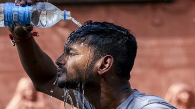 Tamil Nadu Weather: IMD Issues Heat, Humidity Warning For Coastal Region, Puducherry