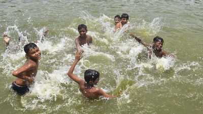 Tamil Nadu Weather: Chennai, Other Dists Brace for Hot, Humid Voting Day With 38°C Highs