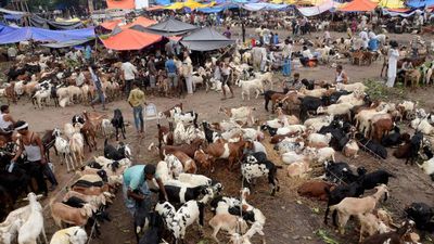Bengaluru Traffic Advisory for Bakrid: Check Restrictions, List of Routes to Avoid