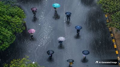 Karnataka Yellow Alert: IMD Warns Of Rain, Thunderstorms, 50 KMPH Winds In 22 Districts Including Bengaluru