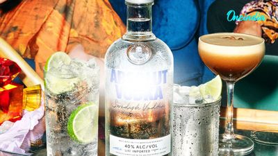 Why Did Delhi High Court Punish Absolut Vodka Maker Pernod Ricard? Explained