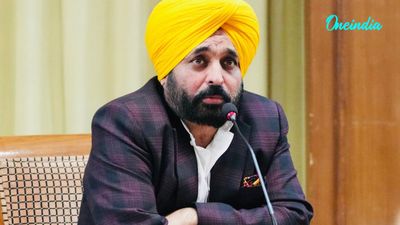 Punjab Govt To Implement Supreme Court Orders On Stray Dogs Across Punjab In True Letter & Spirit: CM Mann