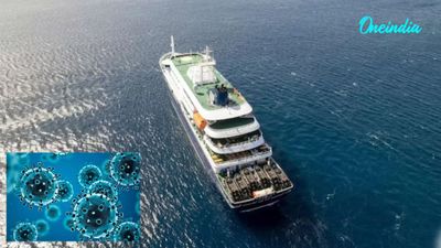 What Is COVID-Like Virus Hantavirus? Antarctic Cruise Outbreak Kills 3 After Weeks Of Mystery Illness
