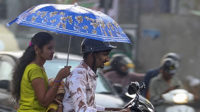 Chennai Weather: TN Capital Wakes Up To Pleasant Rains, More Showers Likely In The Evening