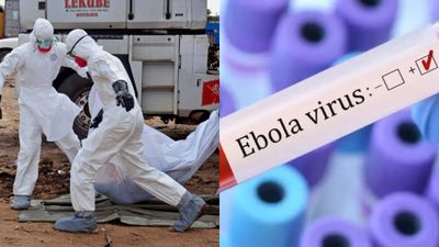 Ebola Case: Bengaluru Records First Suspected Ebola Virus as Ugandan Woman Shifted to Isolation Ward