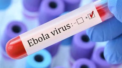 Ebola Virus Alert! Gujarat Man Coming From Congo Quarantined in Ahmedabad