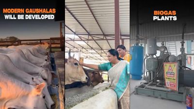 Delhi CM Rekha Gupta Pushes Green Cow Shelter Plan as Delhi Prepares 13 Modern Gaushalas, Bio Gas Plant