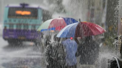 Tamil Nadu Weather: 14 Districts Today, 8 Tomorrow To Get Heavy Rains As RMC Issues Yellow Alert Till Sunday