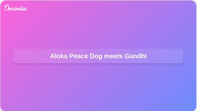 Aloka Peace Dog arrives in Delhi with Buddhist monks, meets Maneka Gandhi
