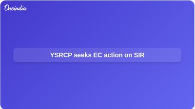 Special Intensive Revision in Andhra Pradesh: YSRCP asks EC to address BLO disruptions