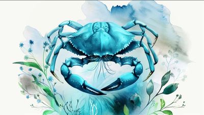 Cancer Horoscope For Today, June 17, 2026, Wednesday - Trust Your Gut And Keep Your Day Flexible