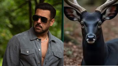 Why Salman Khan Has Moved Delhi High Court Against Kala Hiran: The Battle for Legacy