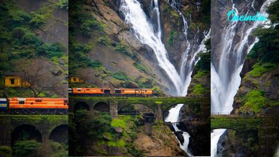 Goa Dudhsagar Waterfall Tragedy: Four Students Drown During Picnic, One Survives