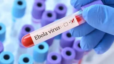 Ebola Advisory India: Travel Guidance And Public Health Alerts