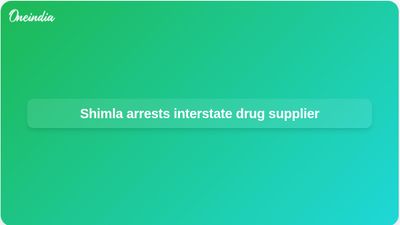 Interstate drug supplier arrested after Shimla chitta and ice seizure, police say