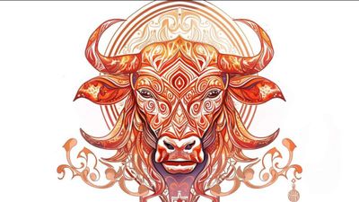 Taurus Horoscope for Today June 06, 2026, Saturday - Steady Effort, Calm Reactions And A Well-Earned Evening Treat