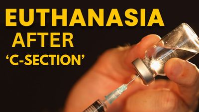Why Are Five New Mothers Demanding Euthanasia After C-Sections In Kota?