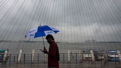 Kerala Rain Alert: Schools Shut in Kozhikode, Wayanad as IMD Issues Yellow Alert Across 11 Districts