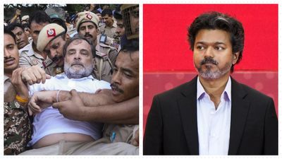 Tamil Nadu CM Vijay Backs NEET Protest, Slams Rahul Gandhi's Detention