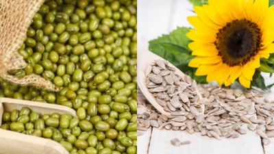 ಬೆಂಬಲ ಬೆಲೆ: ಹೆಸರು, ಉದ್ದು, ಸೂರ್ಯಕಾಂತಿ ಖರೀದಿಗೆ ಸೂಚನೆ: ಇಲ್ಲಿದೆ ದರಪಟ್ಟಿ