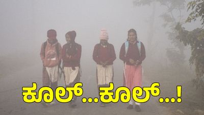IMD Weather: ಹವಾಮಾನ ಬದಲಾವಣೆ, ಈ ಭಾಗಗಗಳಲ್ಲಿ ತೀವ್ರ ಚಳಿ ಮುನ್ಸೂಚನೆ, ಶೀತ ಅಲೆ