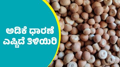 Arecanut Price: ಅಡಿಕೆ ಧಾರಣೆ ಮತ್ತೆ ಇಳಿಕೆ: ಇಲ್ಲಿದೆ ಜನವರಿ 17ರ ದರಪಟ್ಟಿ