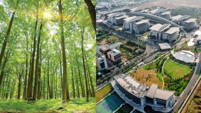 ಬೆಂಗಳೂರಿನ 65 ಎಕ್ರೆಯಲ್ಲಿ ಬೃಹತ್ ವೃಕ್ಷೋದ್ಯಾನ ನಿರ್ಮಾಣ, ಮಾರ್ಚ್‌ಗೆ ಗುಡ್‌ನ್ಯೂಸ್: ಎಂಬಿ ಪಾಟೀಲ್