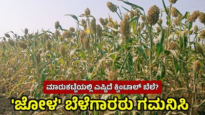 Jowar Price in Karnataka: ರಾಜ್ಯದ ಮಾರುಕಟ್ಟೆಗಳಲ್ಲಿ ಕ್ವಿಂಟಾಲ್ ಜೋಳದ ದರ ಏರಿಳಿತ; ದಾವಣಗೆರೆಯಲ್ಲಿ ರೂ.5,700 ಬೆಲೆ