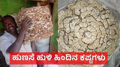 ಬರಗಾಲದಲ್ಲೂ ಬಡವರಿಗೆ ಯುಗಾದಿ ಹಬ್ಬ ತರುವ ಹುಣಸೆ: ತುಮಕೂರಿನ ತೋವಿನಕೆರೆಯಲ್ಲಿ ಫೆಬ್ರವರಿ 23ಕ್ಕೆ ಹುಣಸೆ ಕಾರ್ಯಾಗಾರ