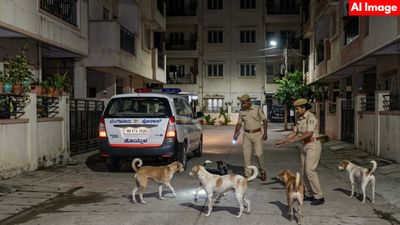 ಬೆಂಗಳೂರು: ನಾಯಿಗಳು ಬೊಗಳುತ್ತಿವೆ, ನಿದ್ರೆ ಬರುತ್ತಿಲ್ಲವೆಂದು 112ಕ್ಕೆ ಕರೆ ಮಾಡಿದ ಮಹಿಳೆ