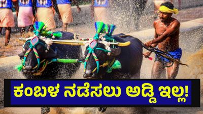 ಕಂಬಳ ಕ್ರೀಡೆ ಆಯೋಜನೆ ಬಗ್ಗೆ ಸುಪ್ರೀಂಕೋರ್ಟ್ ಮಹತ್ವದ ಆದೇಶ... Kambala Race